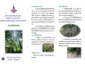 แผ่นพับ : โครงการอนุรักษ์พันธุกรรมพืช ... Image 1